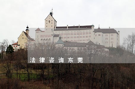 法律咨询东莞 法律咨询东莞