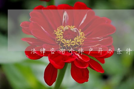 法律咨询个体户开办条件 法律咨询个体户开办条件