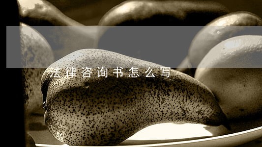 法律咨询书怎么写 法律咨询书怎么写