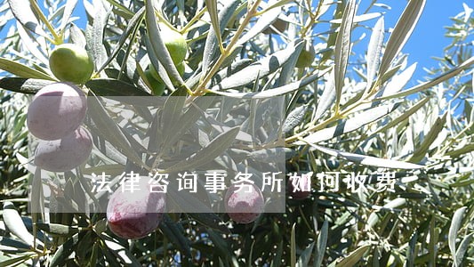法律咨询事务所如何收费 法律咨询事务所如何收费