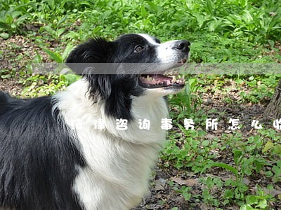 法律咨询事务所怎么收费