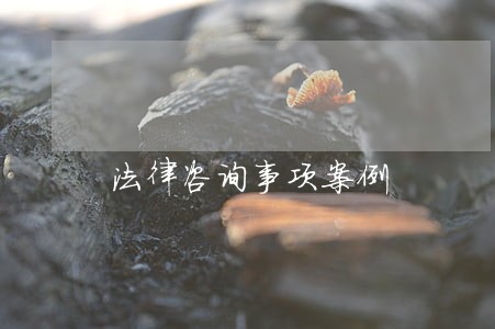 法律咨询事项案例 法律咨询事项案例