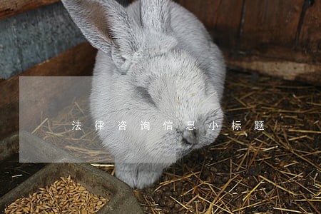 法律咨询信息小标题 法律咨询信息小标题