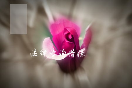 法律咨询借条 法律咨询借条