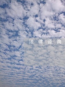 法律咨询借钱不还吗