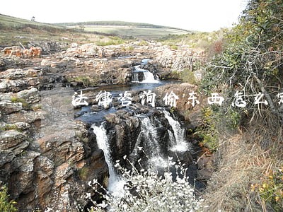 法律咨询偷东西怎么定罪 法律咨询偷东西怎么定罪