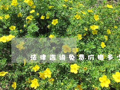 法律咨询免费价格多少 法律咨询免费价格多少