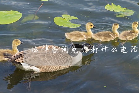 法律咨询免费打什么电话