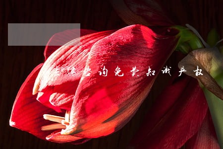 法律咨询免费知识产权 法律咨询免费知识产权