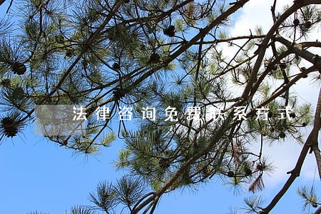 法律咨询免费联系方式 法律咨询免费联系方式