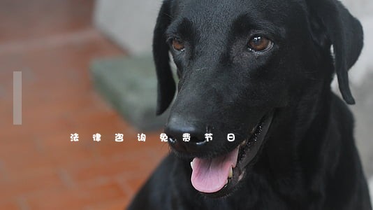 法律咨询免费节日 法律咨询免费节日