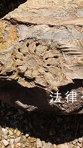 法律咨询免费西安 法律咨询免费西安