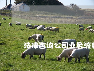 法律咨询公司业务流程图 法律咨询公司业务流程图