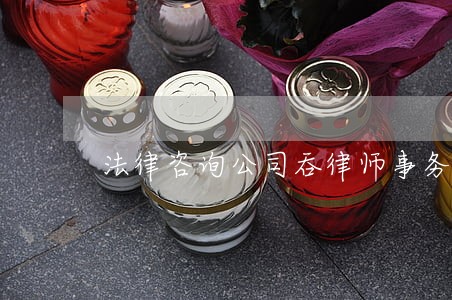 法律咨询公司吞律师事务所业务