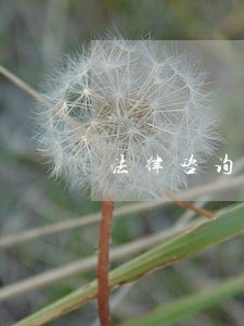法律咨询公司员工挖客户 法律咨询公司员工挖客户