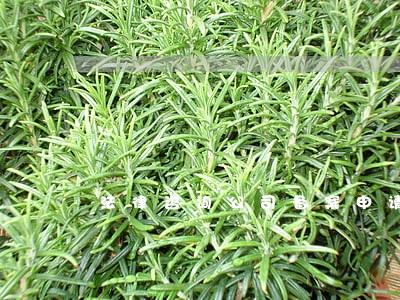 法律咨询公司备案申请