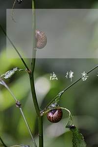 法律咨询公司如何开办 法律咨询公司如何开办