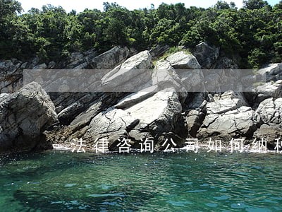 法律咨询公司如何纳税 法律咨询公司如何纳税