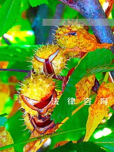 法律咨询公司应交哪些税 法律咨询公司应交哪些税