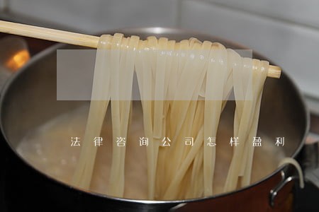 法律咨询公司怎样盈利