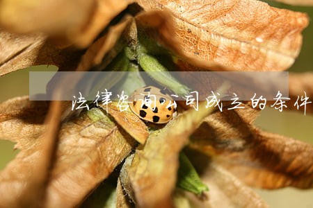 法律咨询公司成立的条件 法律咨询公司成立的条件