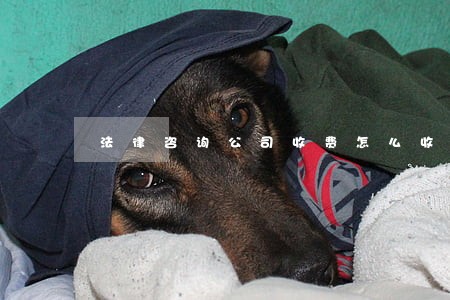 法律咨询公司收费怎么收 法律咨询公司收费怎么收