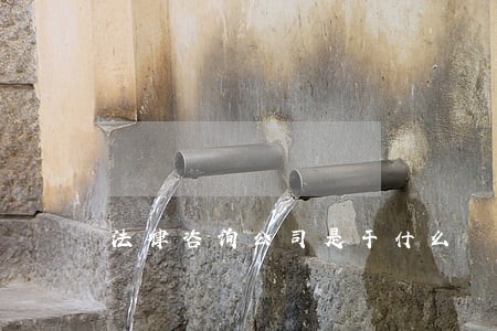 法律咨询公司是干什么 法律咨询公司是干什么