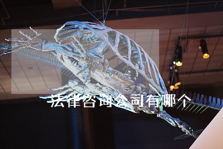 法律咨询公司有哪个 法律咨询公司有哪个