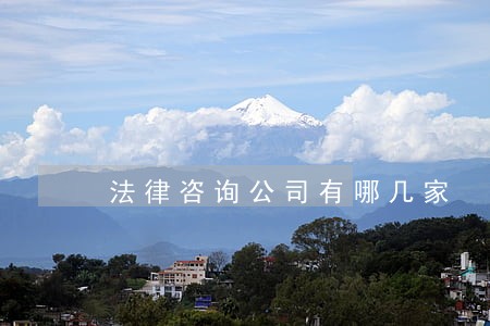 法律咨询公司有哪几家 法律咨询公司有哪几家