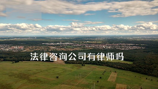 法律咨询公司有律师吗 法律咨询公司有律师吗