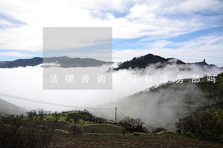 法律咨询公司有法务部吗