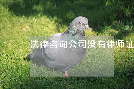 法律咨询公司没有律师证 法律咨询公司没有律师证