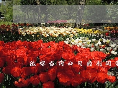 法律咨询公司的利润率 法律咨询公司的利润率