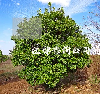 法律咨询公司的合同范本 法律咨询公司的合同范本