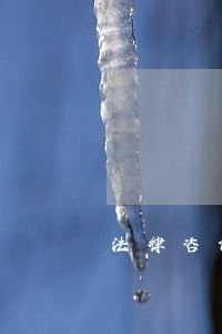 法律咨询公司的宣传单资料
