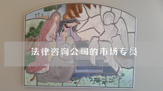 法律咨询公司的市场专员 法律咨询公司的市场专员