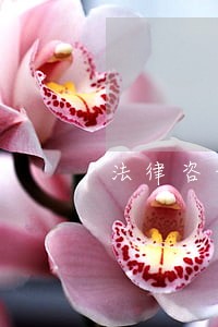 法律咨询公司的市场营销