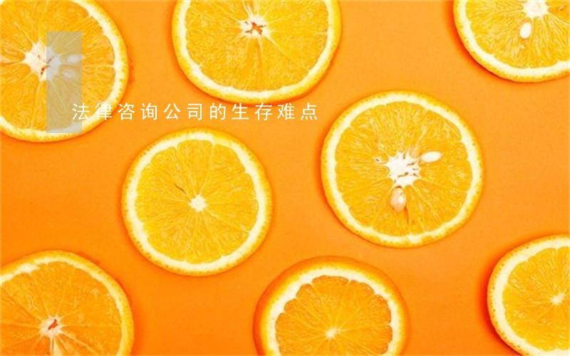 法律咨询公司的生存难点 法律咨询公司的生存难点