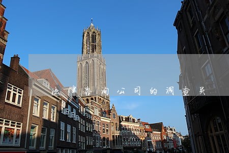 法律咨询公司的调查员 法律咨询公司的调查员