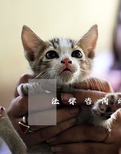 法律咨询公司的账务处理 法律咨询公司的账务处理