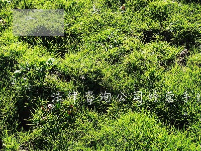 法律咨询公司经营手续 法律咨询公司经营手续