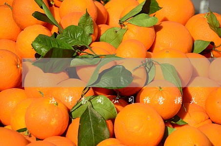 法律咨询公司经营模式