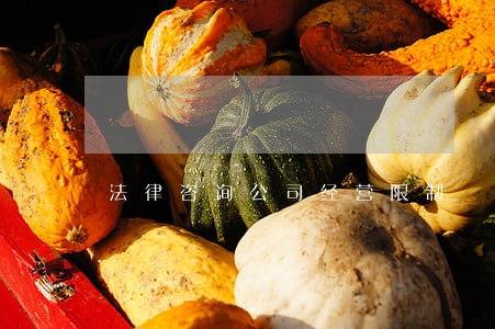 法律咨询公司经营限制 法律咨询公司经营限制