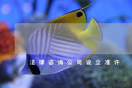 法律咨询公司设立准许 法律咨询公司设立准许