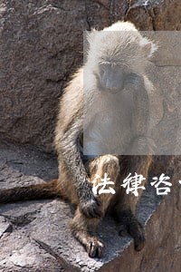 法律咨询公司设立手续 法律咨询公司设立手续