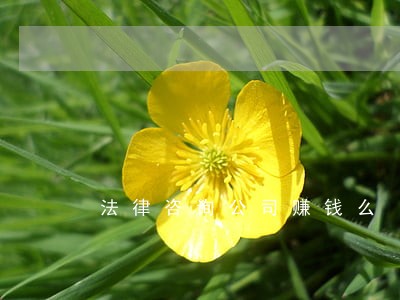 法律咨询公司赚钱么 法律咨询公司赚钱么