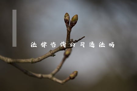 法律咨询公司违法吗 法律咨询公司违法吗