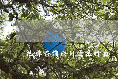 法律咨询公司违法行为 法律咨询公司违法行为