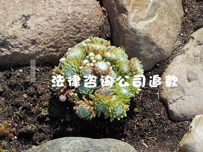 法律咨询公司追款 法律咨询公司追款