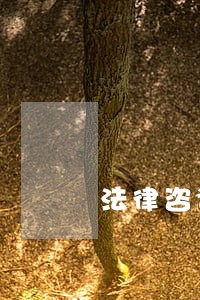 法律咨询公司选址在哪里 法律咨询公司选址在哪里